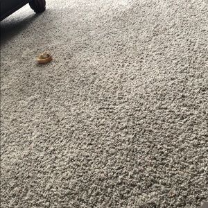 Meet your Posher, Collin